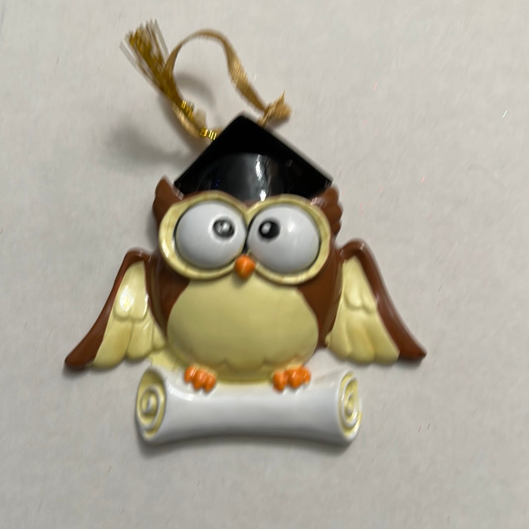 Graduation owl Christmas Ornament