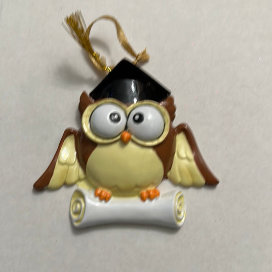 Graduation owl Christmas Ornament